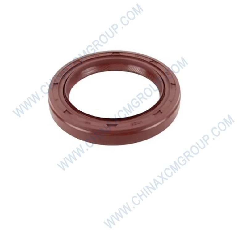 Lip Type Packing Seal B 80x100x10