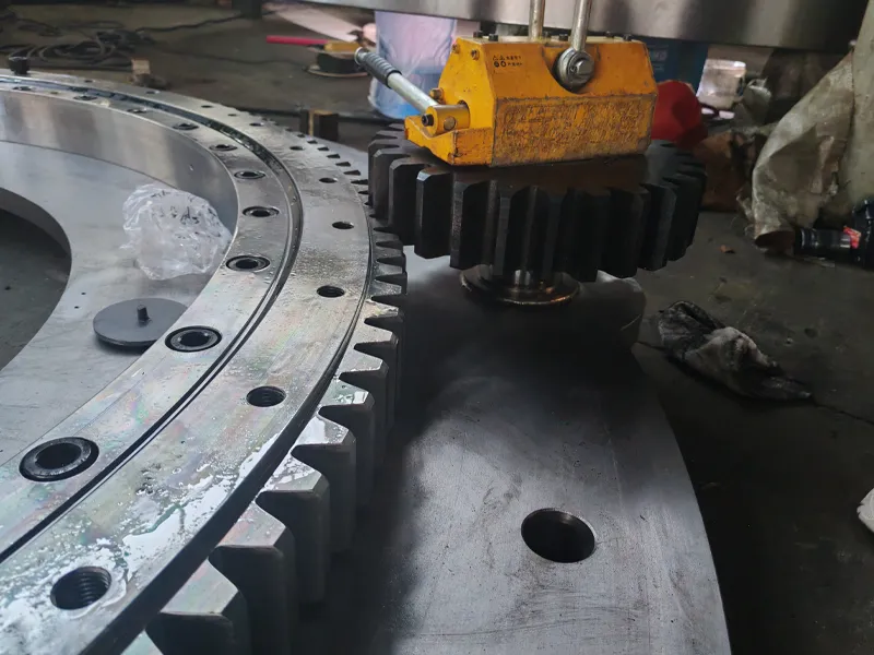 Gear and Bearing Assembly