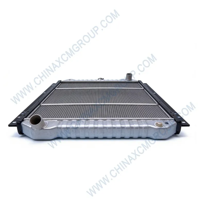 803098203 Conjunto del radiador