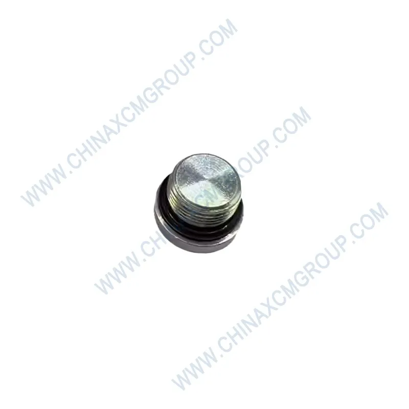 Plug 803189850 XCMG