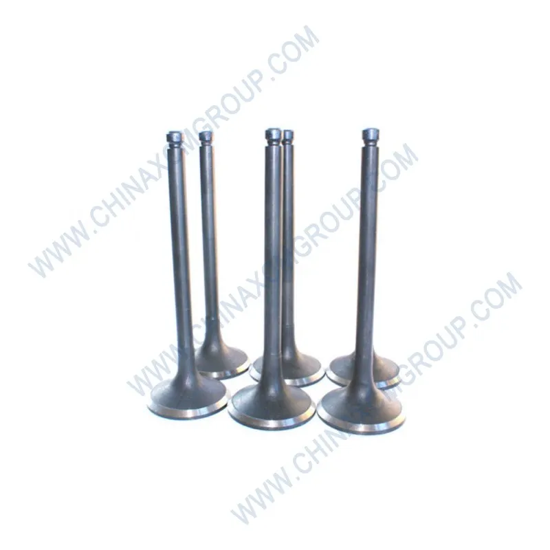 Exhaust Valve 860123067