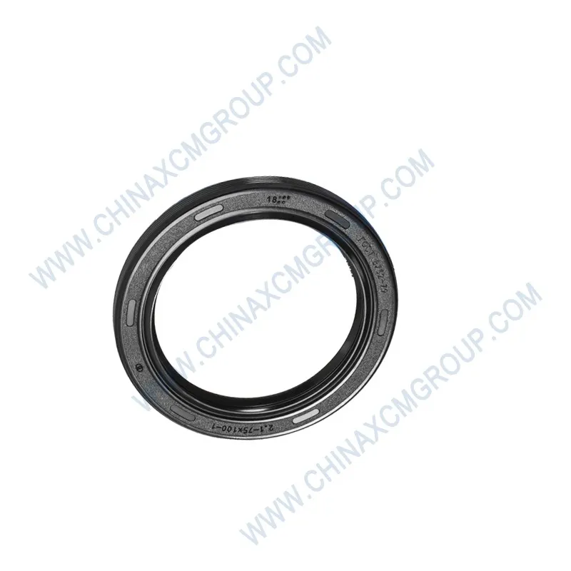 Shaft Seal 75x100x10 380500609