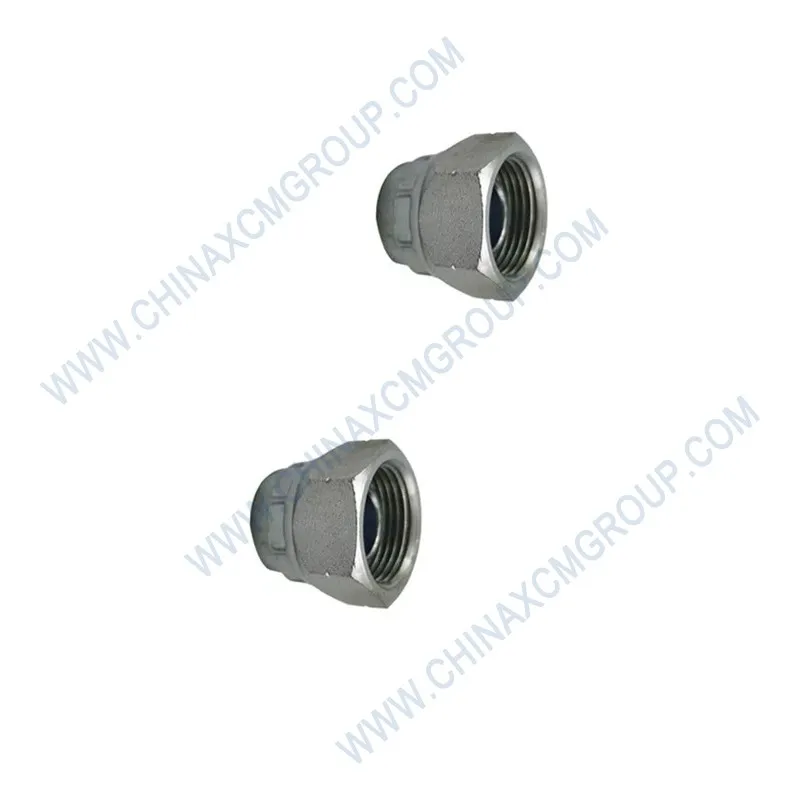 XCMG Threaded Plug 800166260
