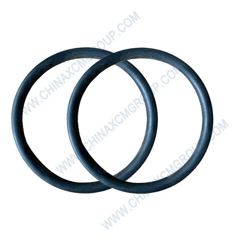 XCMG Seal Ring 800172568