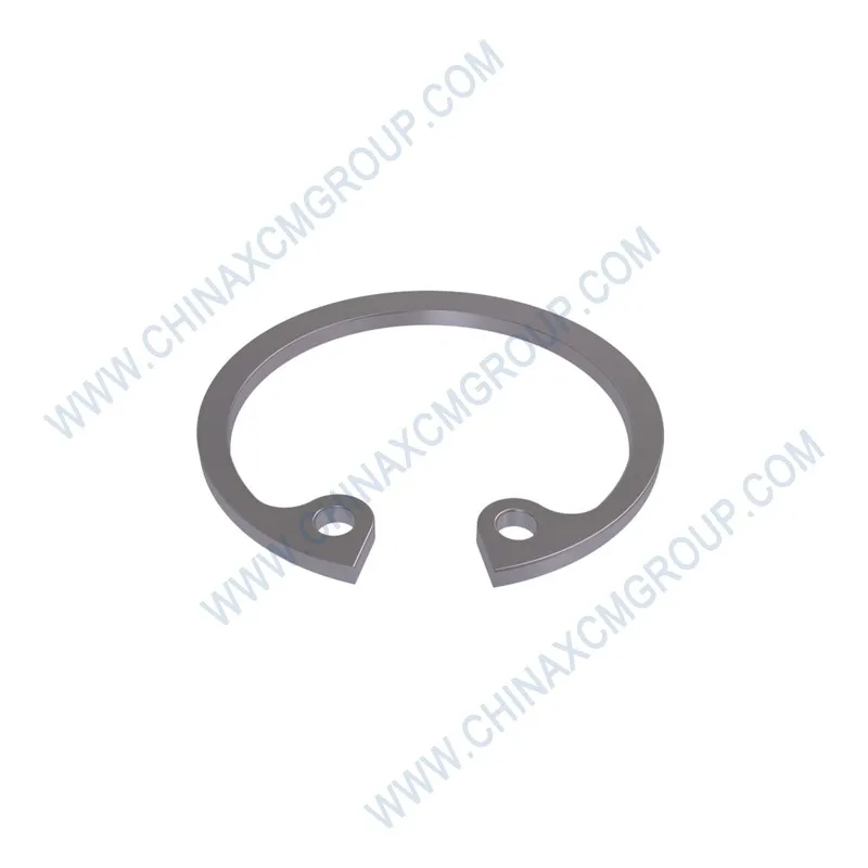 Retaining Ring 800370331