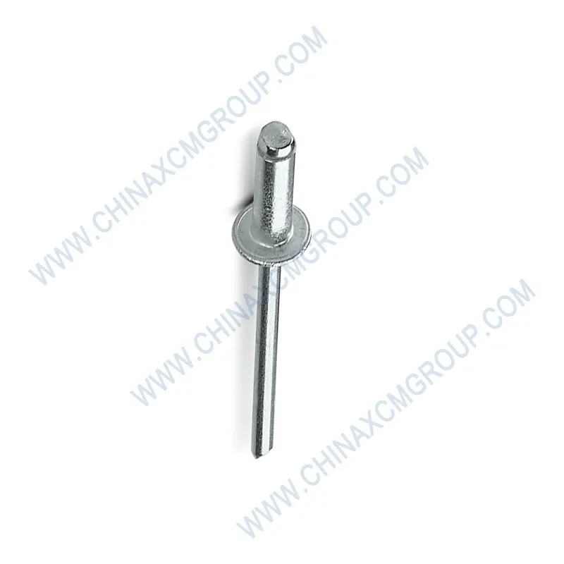 Rivet 3x10 805500034
