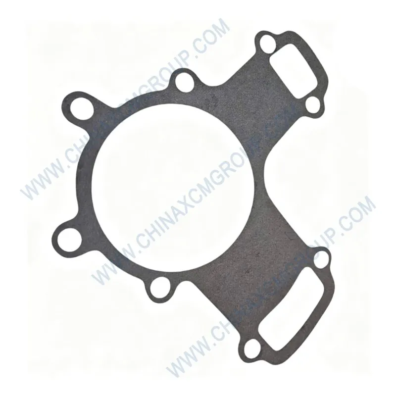 Paper Gasket 860116185