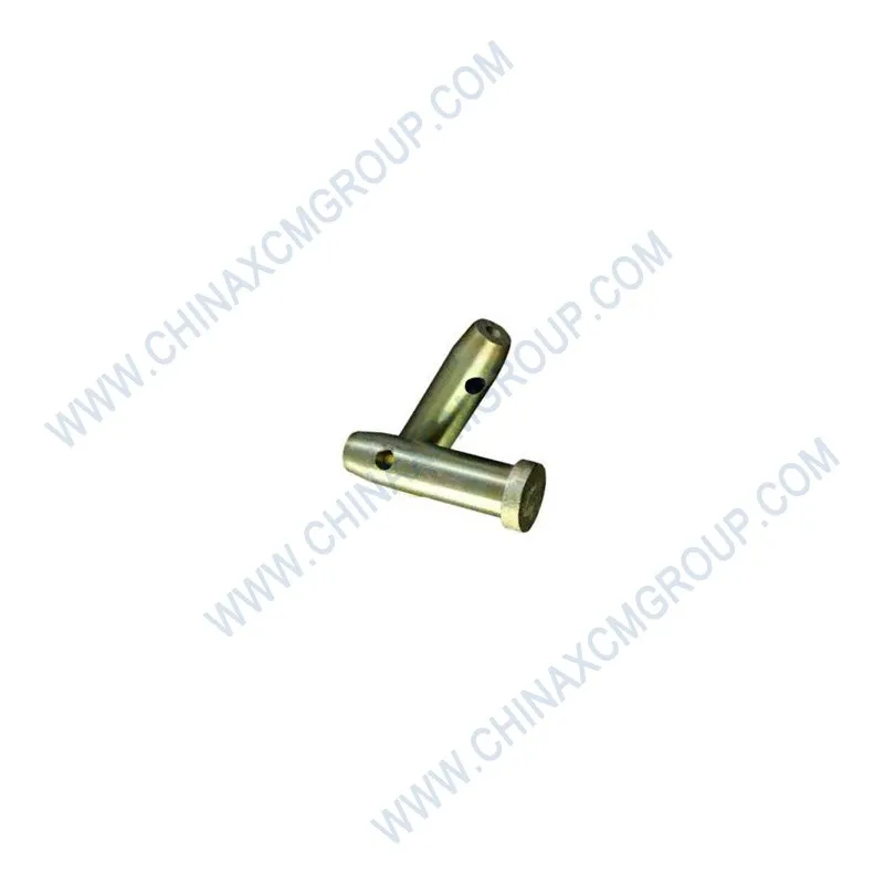 Through Pin