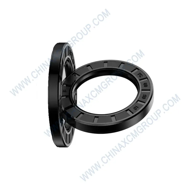 Cage Seal 100×130×12