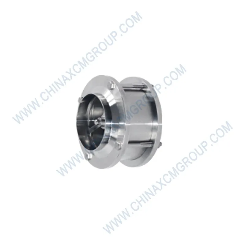 Flange Check Valve 804044203