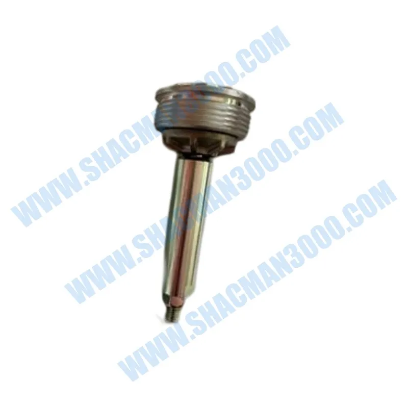 Check Valve