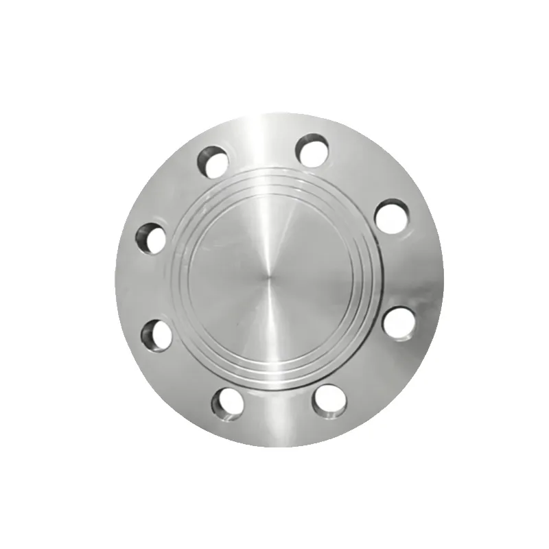XCMG Flange Plate 318502492