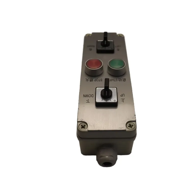 XCMG Stair Control Box Assembly 319006784
