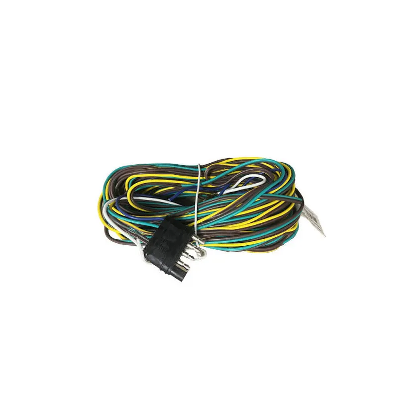 XCMG Arnés de cableado de pasillo derecho 319006905