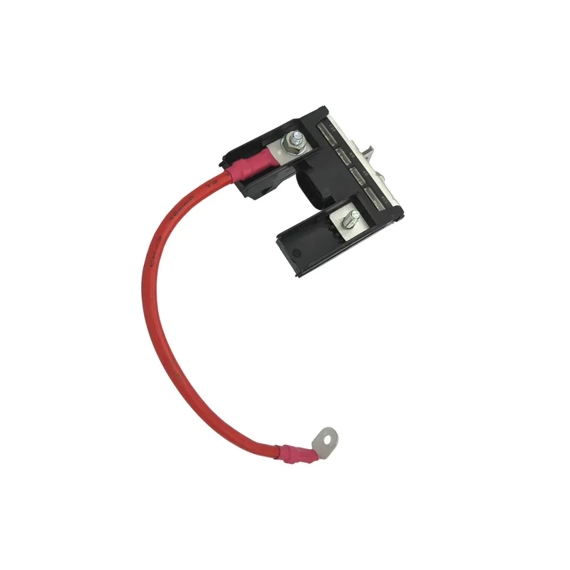 XCMG Cable de batería (positivo a fusible) 319007261