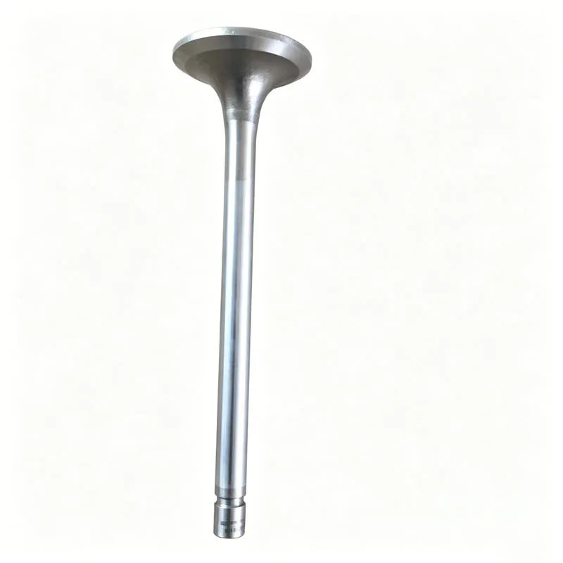 Exhaust Valve XCMG 800371946