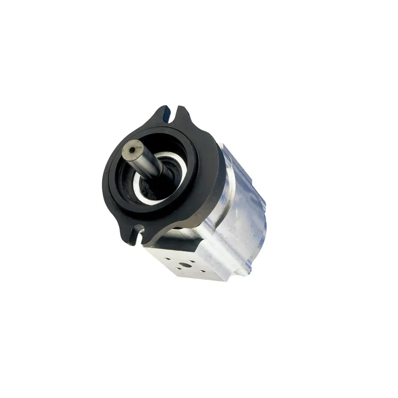 XCMG Vane Motors 803093739