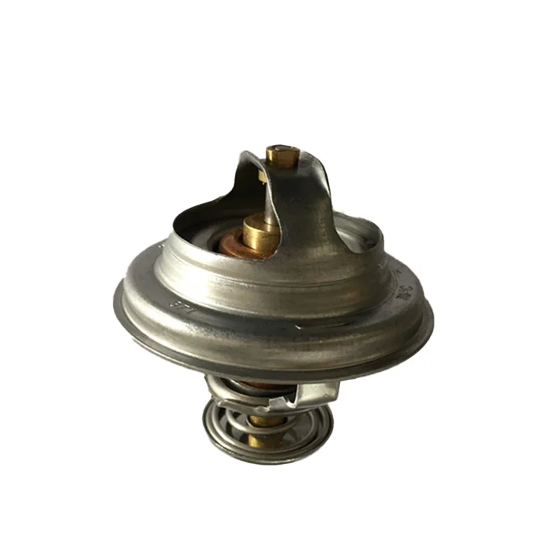 XCMG Termostato 860149615