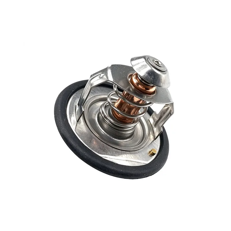 XCMG Termostato 860196272