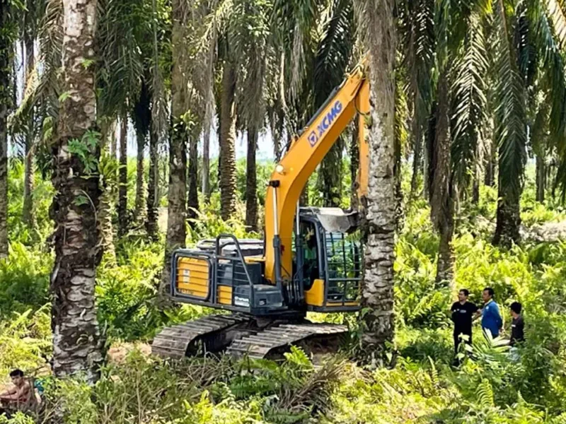 xcmg forestry excavator